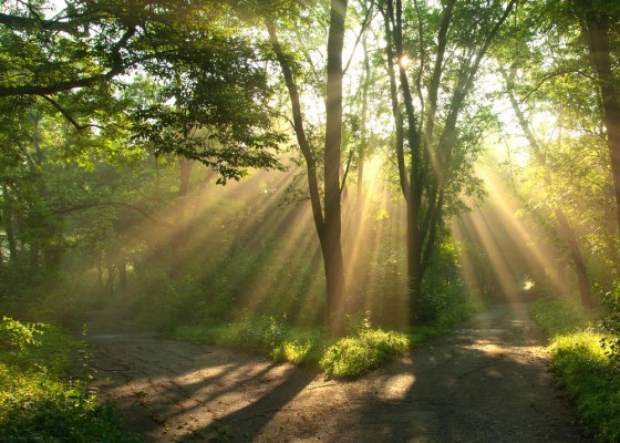 Breast Cancer "Awareness": What is the Message in 2014?