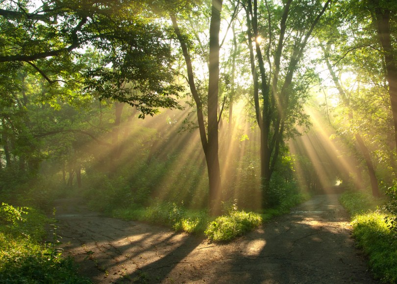 Breast Cancer "Awareness": What is the Message in 2014?