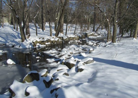Reviewing top stories about cancer research in Winter 2016