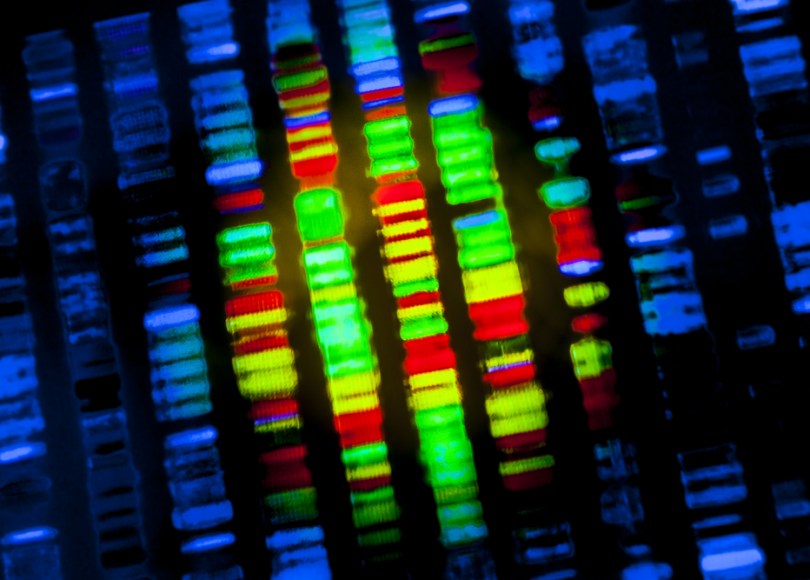 Genomic studies will play an important role in precision medicine for metastatic breast cancer.