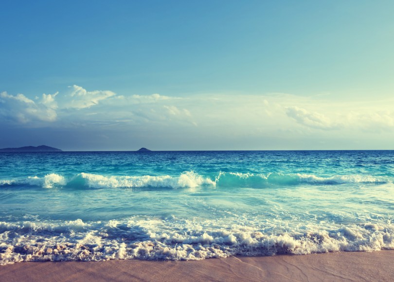 Reviewing top stories about cancer research in Summer 2016