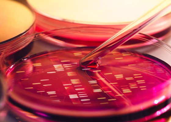 Researchers are using genomic studies to develop better treatments for metastatic breast cancer.