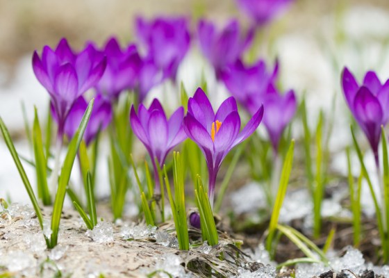 Reviewing top stories about cancer research in Winter 2017