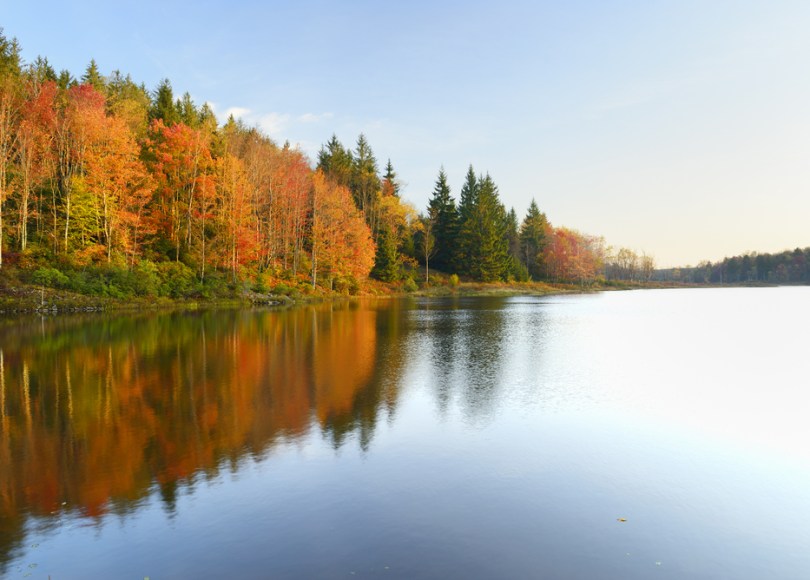 Reviewing top stories about cancer research in Fall 2017