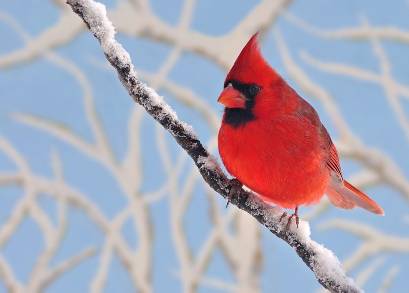 Reviewing top stories about cancer research in Winter 2018