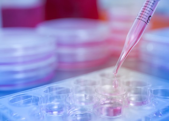 Genomic test results informing breast cancer treatment