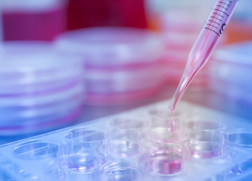 Genomic test results informing breast cancer treatment