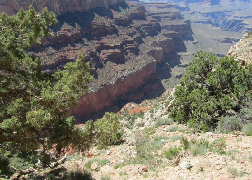 View from hike at the Grand Canyon.