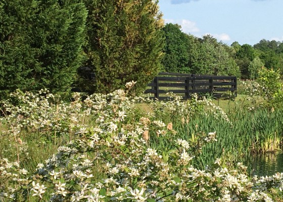 Responding to questions about cancer blogging in Summer 2021