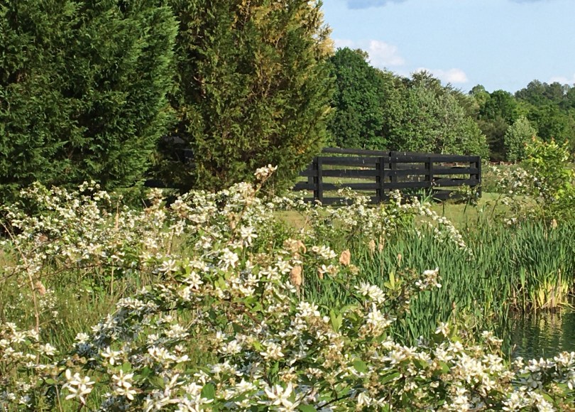 Responding to questions about cancer blogging in Summer 2021