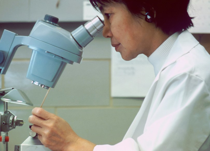 Finding hope in cancer research